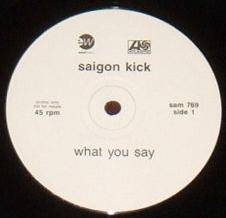 Saigon Kick : What You Say